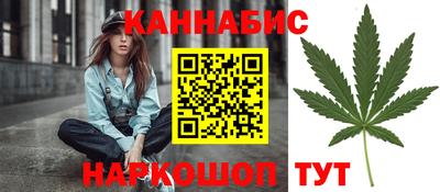 прущие грибы Волгодонск