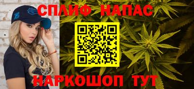 прущие грибы Волгодонск